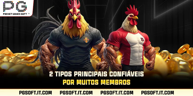 2 tipos principais confiáveis ​​por muitos membros
