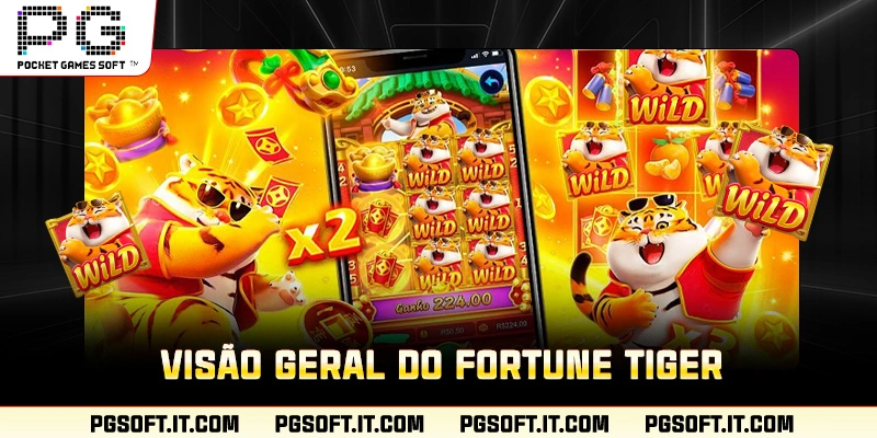 Visão geral do Fortune Tiger